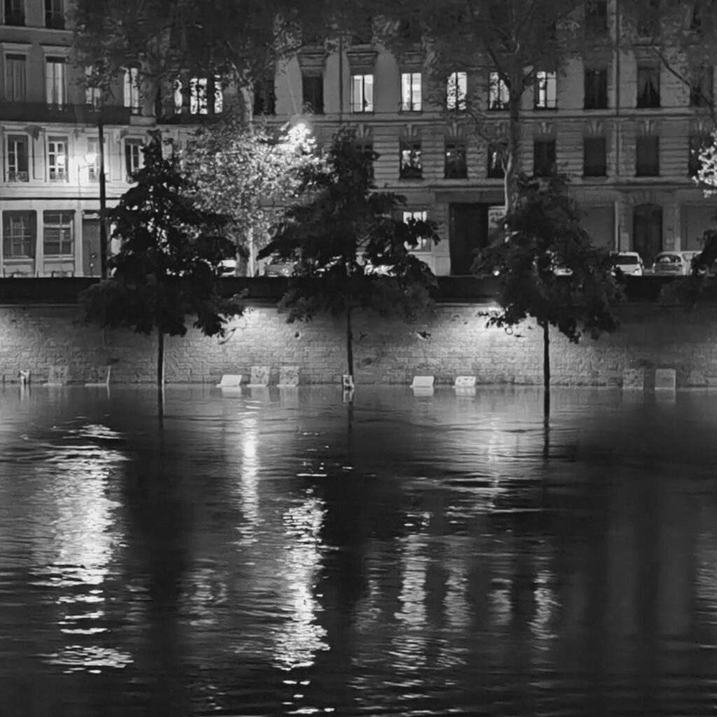 photo arbre quais saone lyon