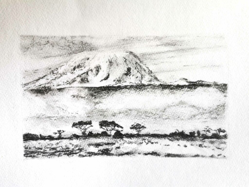 fusain kilimanjaro