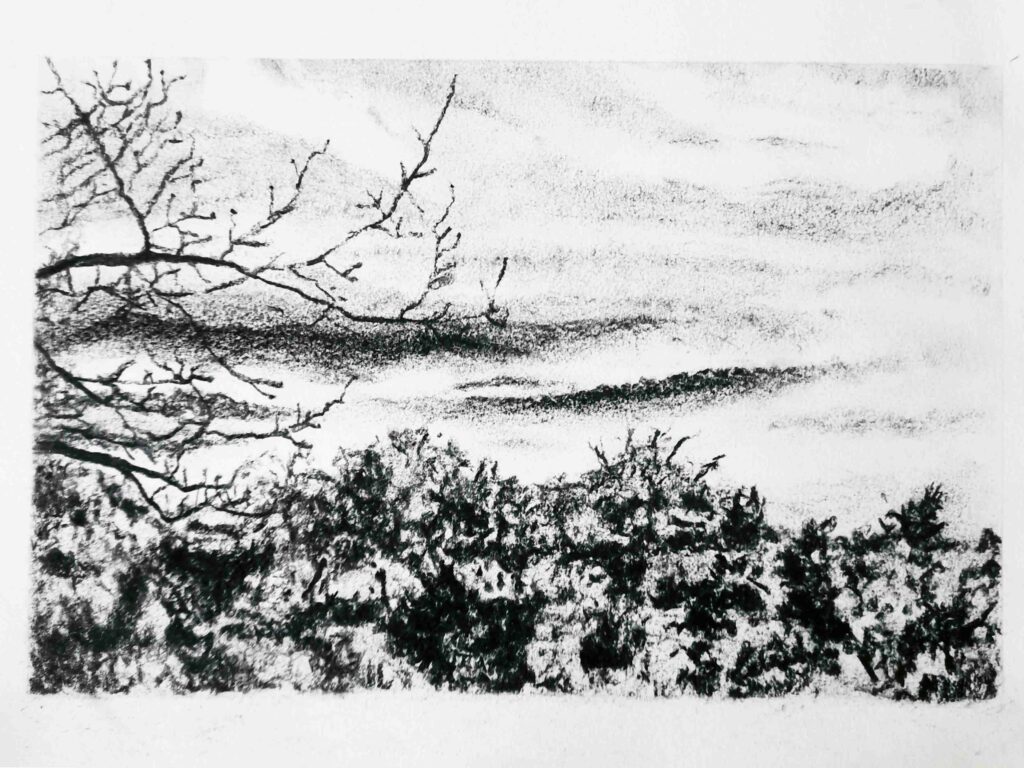 fusain ardeche