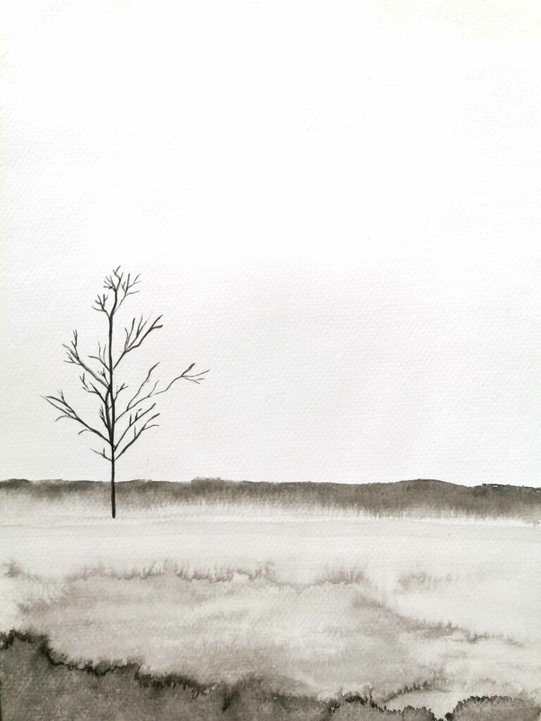 arbre encre de chine