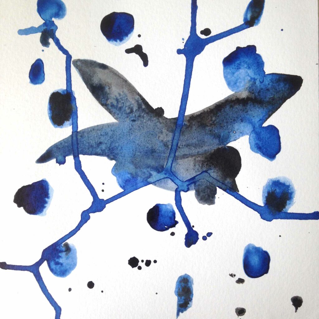 oiseau bleu encre de chine