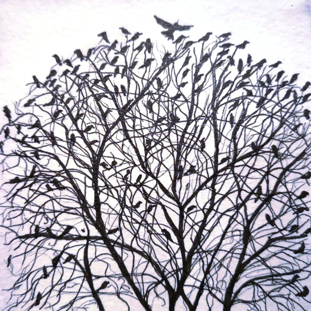 Le temps des fleurs