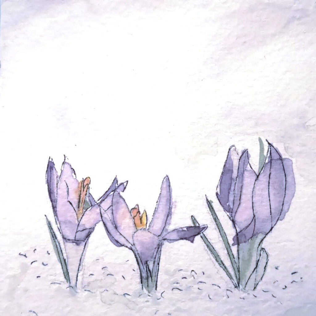 Le temps des fleurs