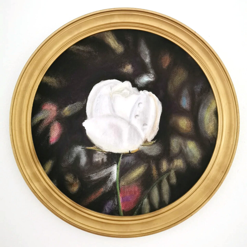 rose blanche pastel